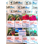 Mini calendarios 5